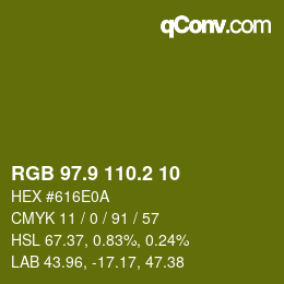 カラーコード: RGB 97.9 110.2 10 | qconv.com