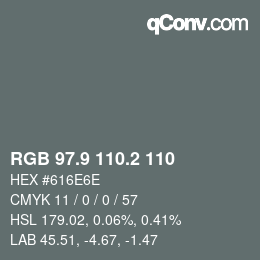 Color code: RGB 97.9 110.2 110 | qconv.com