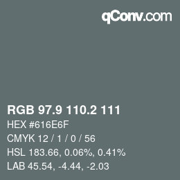 Color code: RGB 97.9 110.2 111 | qconv.com