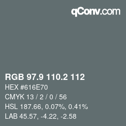 Color code: RGB 97.9 110.2 112 | qconv.com