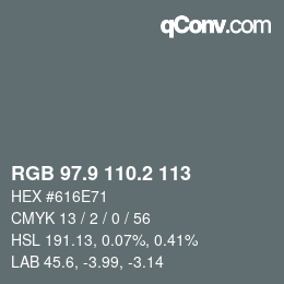 Color code: RGB 97.9 110.2 113 | qconv.com