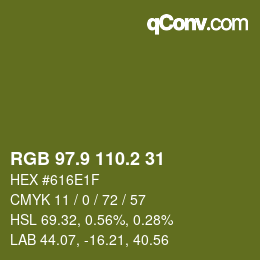 カラーコード: RGB 97.9 110.2 31 | qconv.com