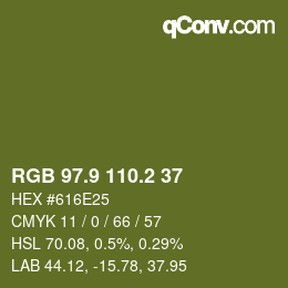 Color code: RGB 97.9 110.2 37 | qconv.com