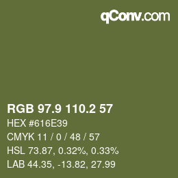 カラーコード: RGB 97.9 110.2 57 | qconv.com