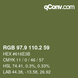 Color code: RGB 97.9 110.2 59 | qconv.com