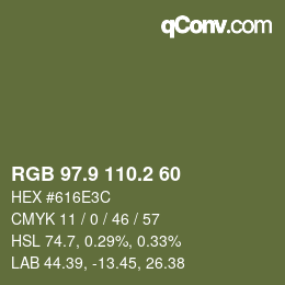 Color code: RGB 97.9 110.2 60 | qconv.com