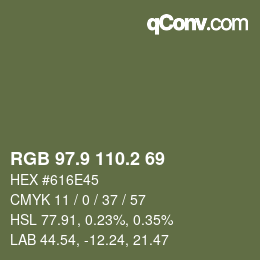 Color code: RGB 97.9 110.2 69 | qconv.com