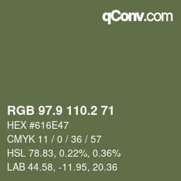 Color code: RGB 97.9 110.2 71 | qconv.com