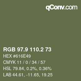 Color code: RGB 97.9 110.2 73 | qconv.com