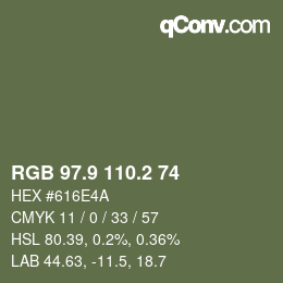 Color code: RGB 97.9 110.2 74 | qconv.com