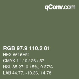 Color code: RGB 97.9 110.2 81 | qconv.com