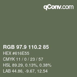 Color code: RGB 97.9 110.2 85 | qconv.com