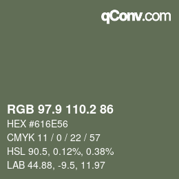 Color code: RGB 97.9 110.2 86 | qconv.com