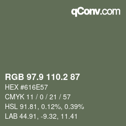 Color code: RGB 97.9 110.2 87 | qconv.com