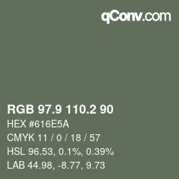 Color code: RGB 97.9 110.2 90 | qconv.com