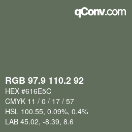 Color code: RGB 97.9 110.2 92 | qconv.com