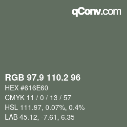 Color code: RGB 97.9 110.2 96 | qconv.com