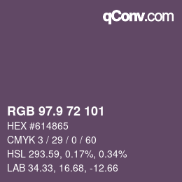Color code: RGB 97.9 72 101 | qconv.com