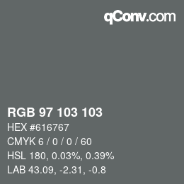 Color code: RGB 97 103 103 | qconv.com