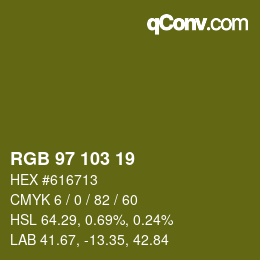Color code: RGB 97 103 19 | qconv.com