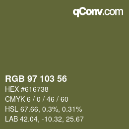 カラーコード: RGB 97 103 56 | qconv.com