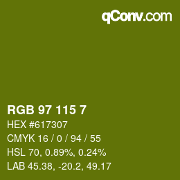 Color code: RGB 97 115 7 | qconv.com