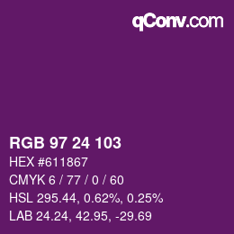 Color code: RGB 97 24 103 | qconv.com