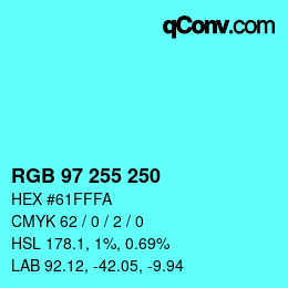 Color code: RGB 97 255 250 | qconv.com
