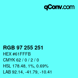 Color code: RGB 97 255 251 | qconv.com