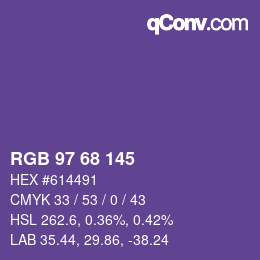 Color code: RGB 97 68 145 | qconv.com
