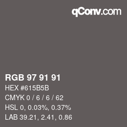 Color code: RGB 97 91 91 | qconv.com