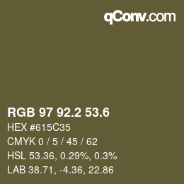 カラーコード: RGB 97 92.2 53.6 | qconv.com