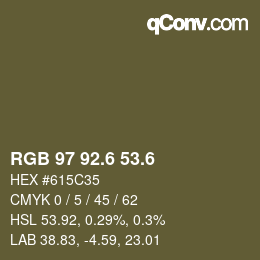 カラーコード: RGB 97 92.6 53.6 | qconv.com
