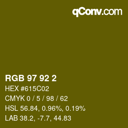 カラーコード: RGB 97 92 2 | qconv.com