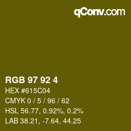 カラーコード: RGB 97 92 4 | qconv.com