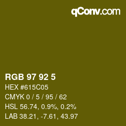 颜色代码: RGB 97 92 5 | qconv.com