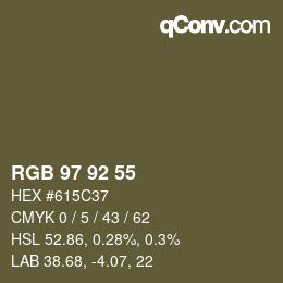 颜色代码: RGB 97 92 55 | qconv.com