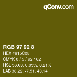 Color code: RGB 97 92 8 | qconv.com