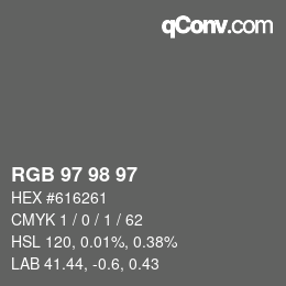 Color code: RGB 97 98 97 | qconv.com