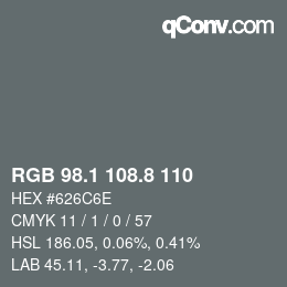 Color code: RGB 98.1 108.8 110 | qconv.com