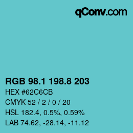 Color code: RGB 98.1 198.8 203 | qconv.com