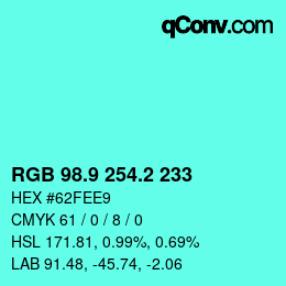 カラーコード: RGB 98.9 254.2 233 | qconv.com