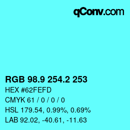 カラーコード: RGB 98.9 254.2 253 | qconv.com