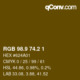 Color code: RGB 98.9 74.2 1 | qconv.com