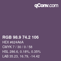 Color code: RGB 98.9 74.2 106 | qconv.com