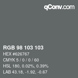 カラーコード: RGB 98 103 103 | qconv.com