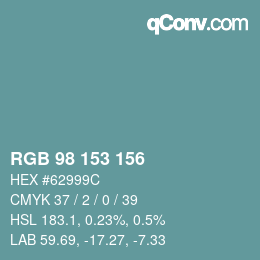 Color code: RGB 98 153 156 | qconv.com