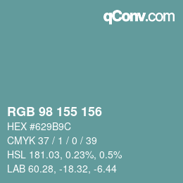Color code: RGB 98 155 156 | qconv.com
