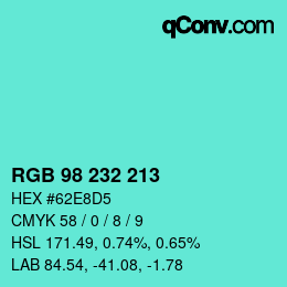 Color code: RGB 98 232 213 | qconv.com
