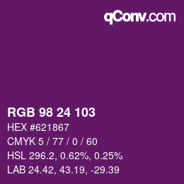 Color code: RGB 98 24 103 | qconv.com